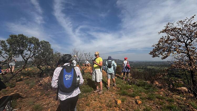 Top of the ridge inside Melville Koppies nature reserve
