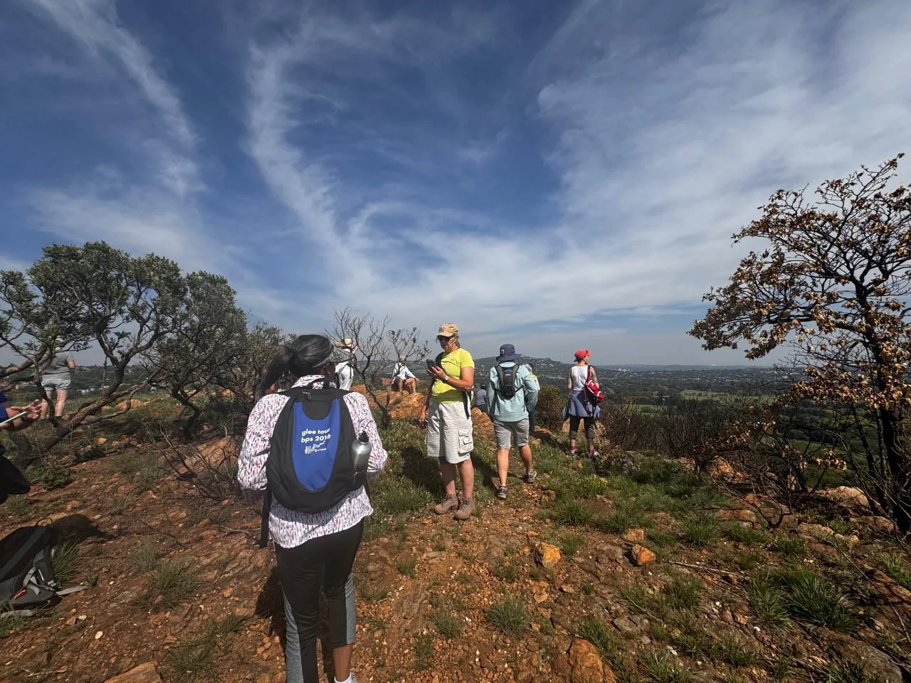 Top of the ridge inside Melville Koppies nature reserve