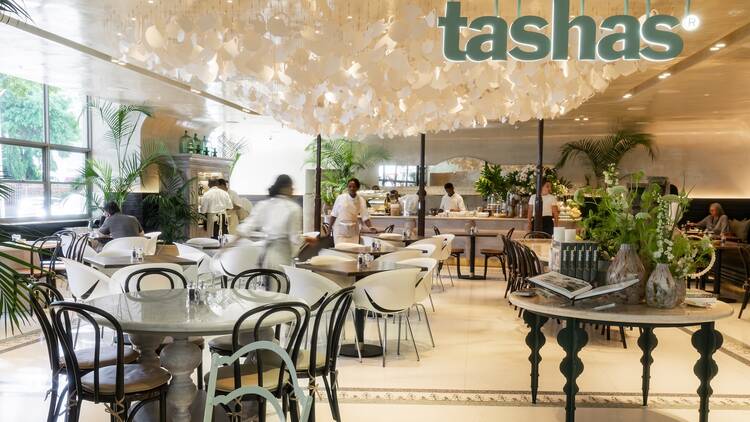 tashas Cavendish Square tashas Cavendish Square