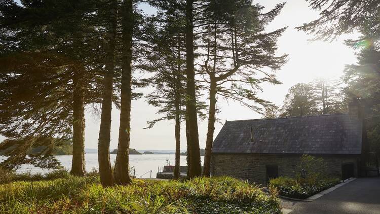 Ashford Castle nature and surroundings Ashford Castle nature and surroundings