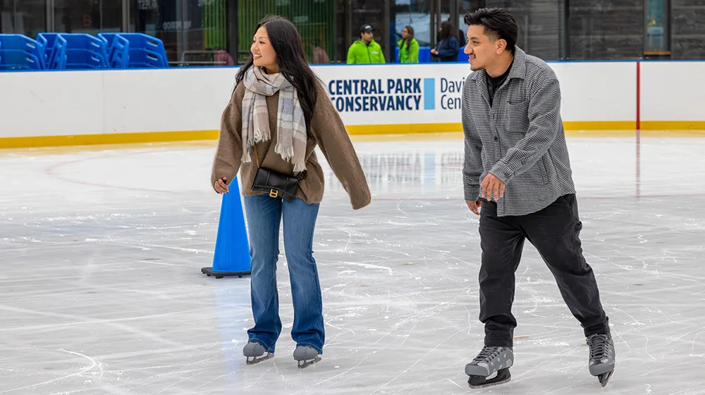 skaters in central park