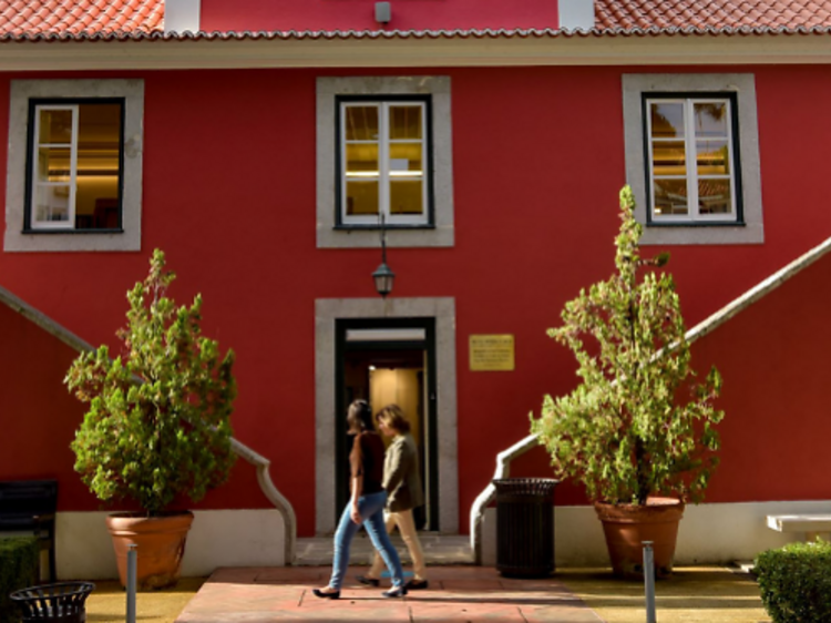 O Suspiro da Amazónia