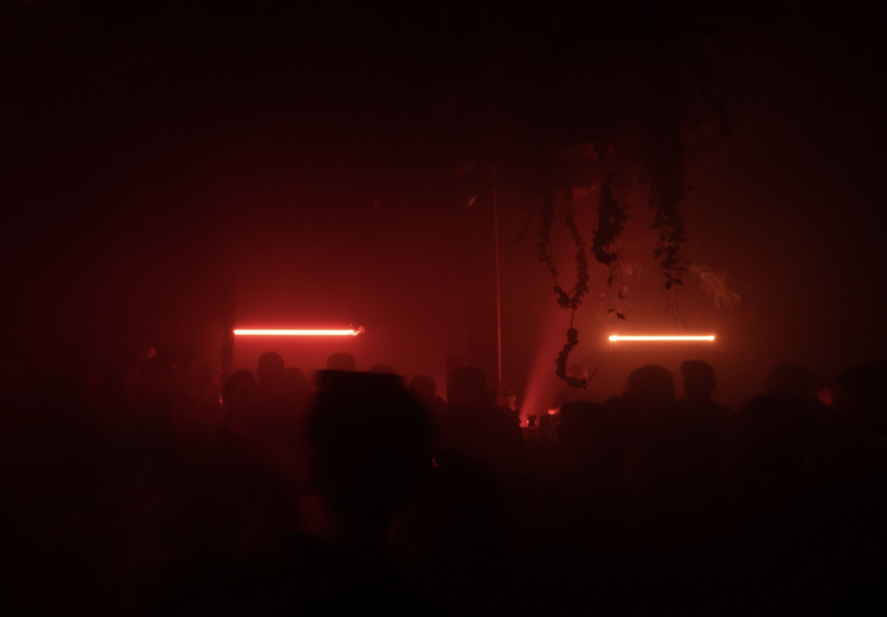 Williamsburg's newest club has a strict no-picture policy