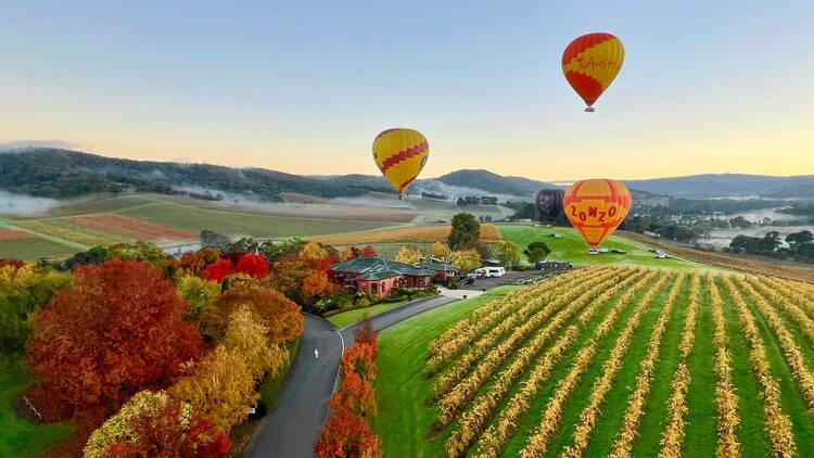Global Ballooning Australia Hot air balloons over the Yarra Valley