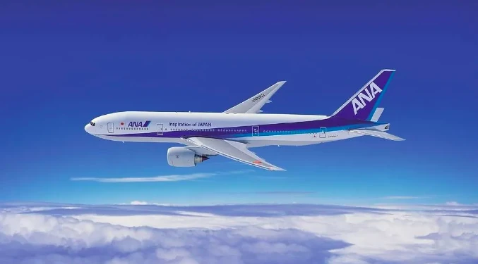 jap&oacute;, avi&oacute;