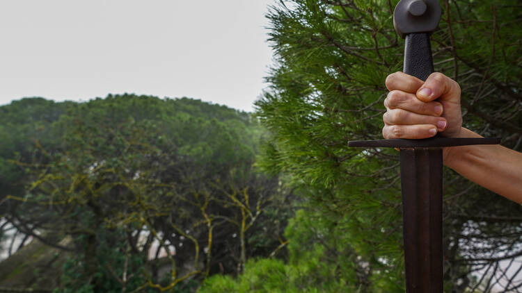 O Cavaleiro da Dinamarca