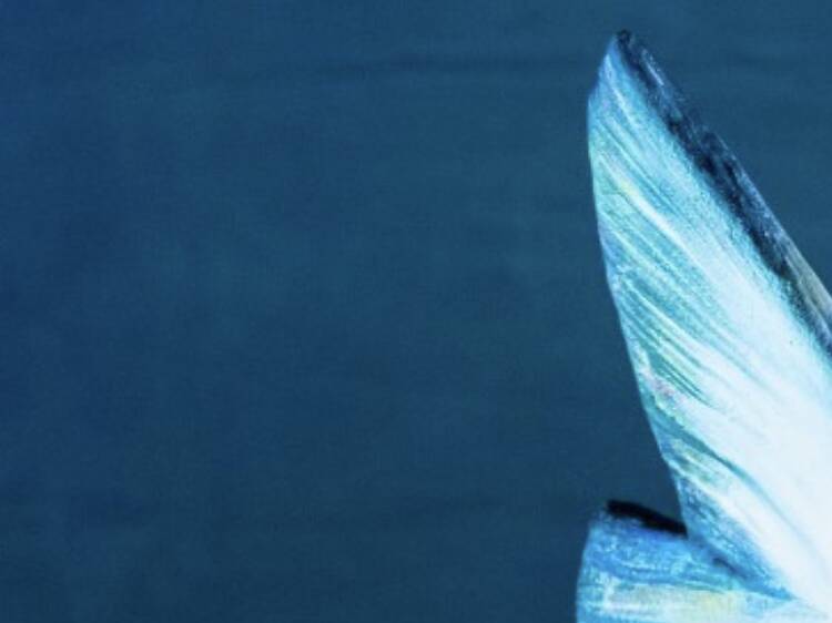 Procurar o Ó-Ó perdido