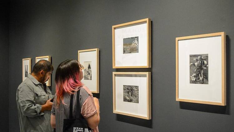 Manuel Álvarez Bravo: registro de oscuridades Manuel Álvarez Bravo: registro de oscuridades