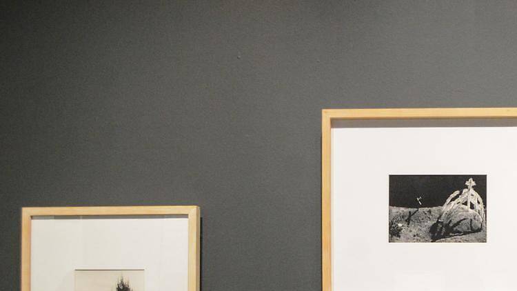 Manuel Álvarez Bravo: registro de oscuridades Manuel Álvarez Bravo: registro de oscuridades