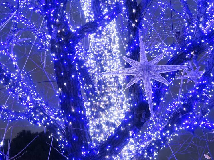 東京、2025年初開催のイルミネーションイベント4選