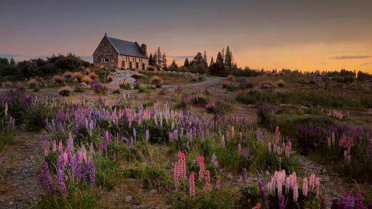 Lake Tekapo/Takapō
