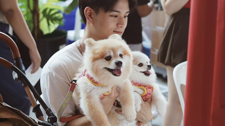 Find a pet-friendly corner of the city that feels genuinely calm and welcoming