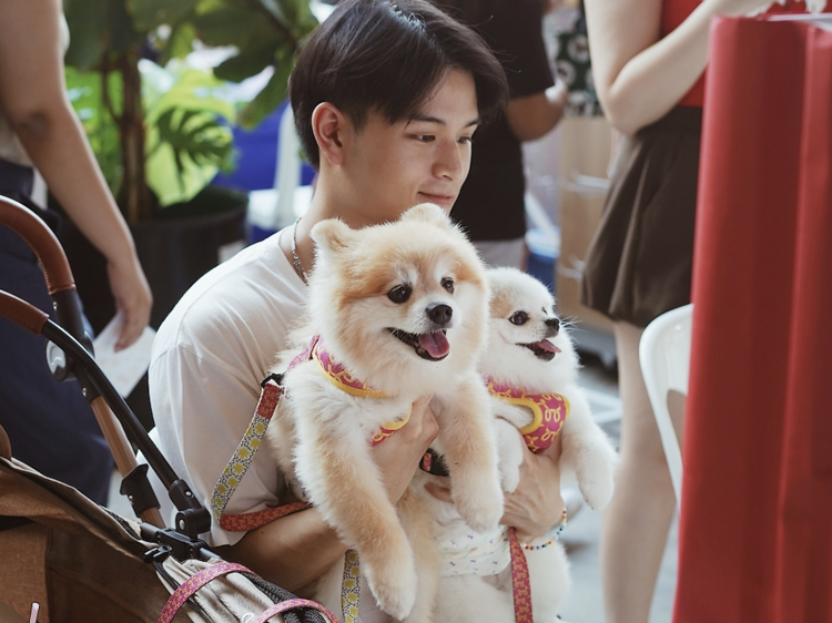 Find a pet-friendly corner of the city that feels genuinely calm and welcoming