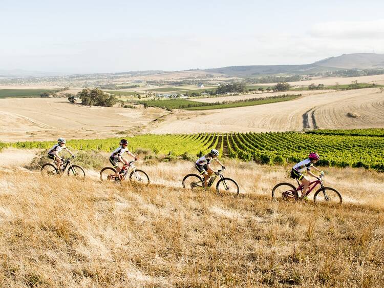 Hiking & Biking Trails