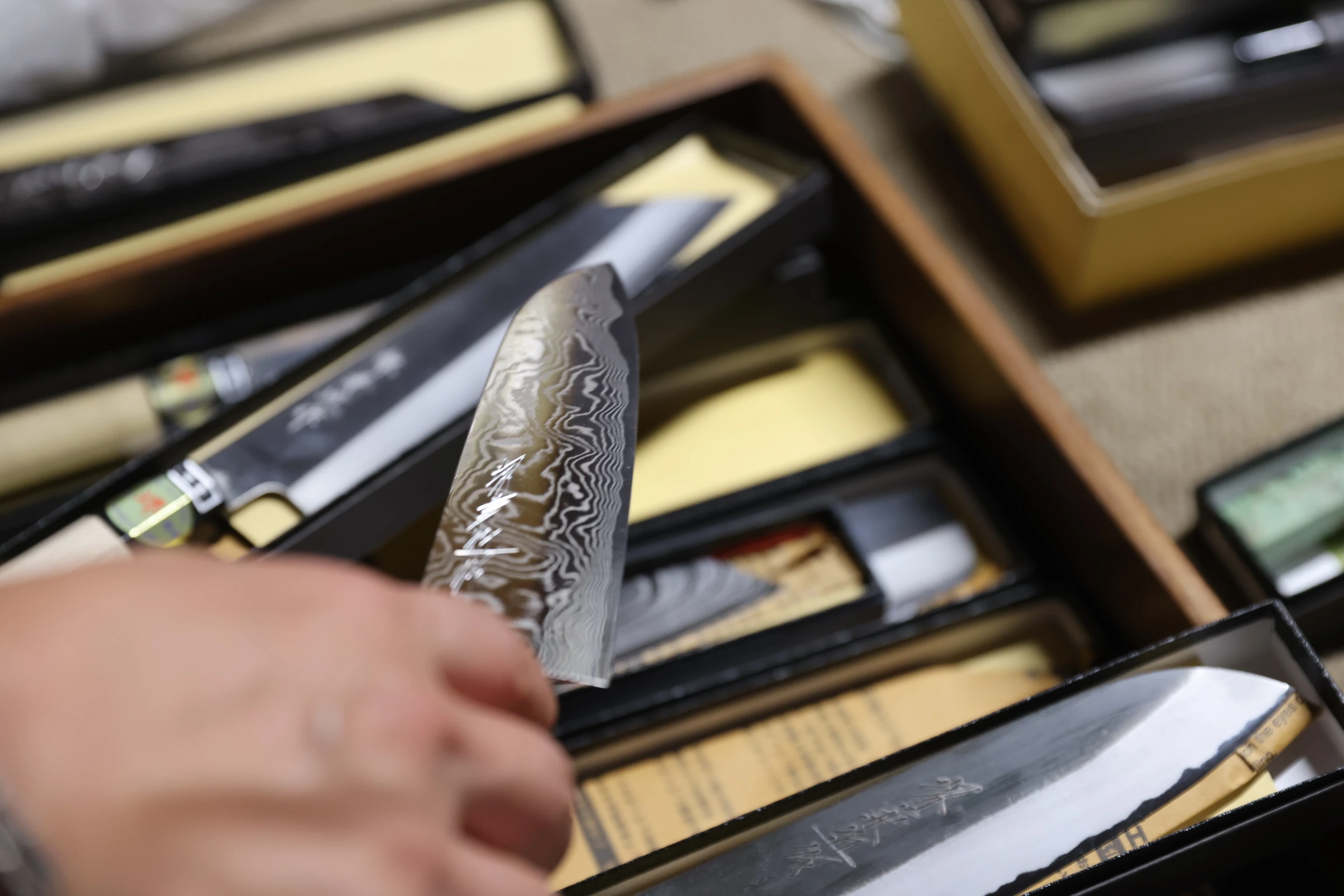 Osaka Culinary Immersion