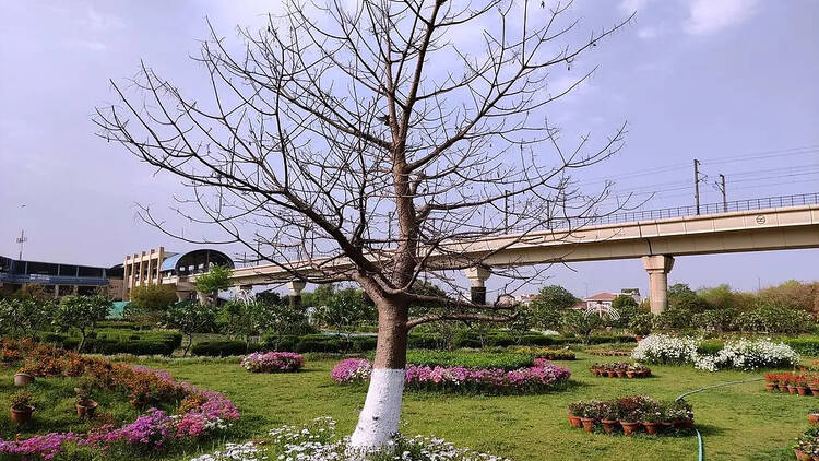 Take a walk inside Botanical Garden