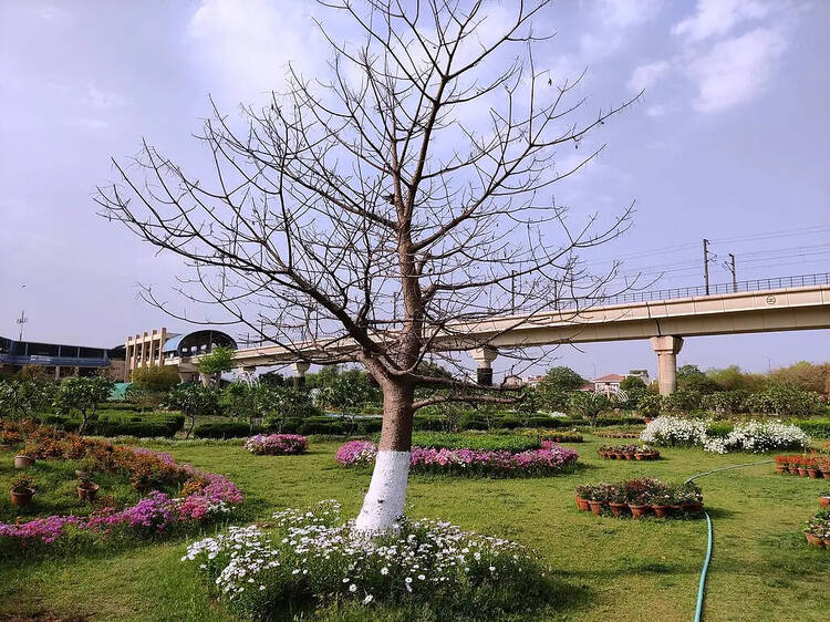 Take a walk inside Botanical Garden