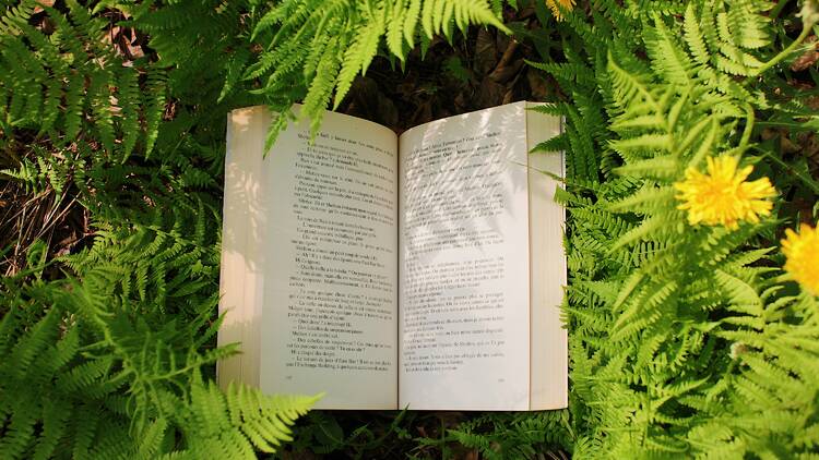 Noida Reads