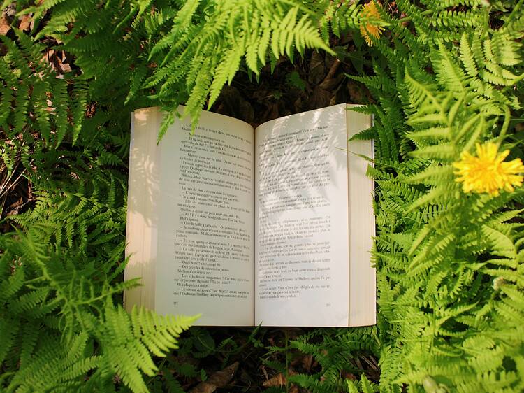 Noida Reads