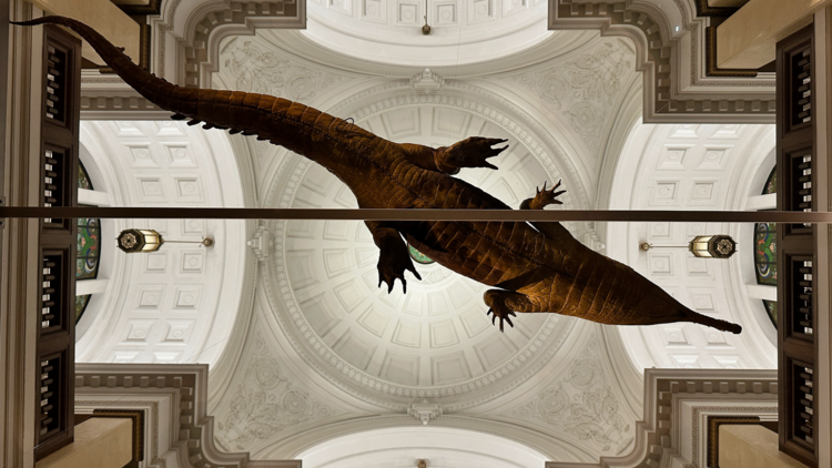 ワニは鳥に近かった？ 知るほどハマる「ワニ」展がいよいよ開幕