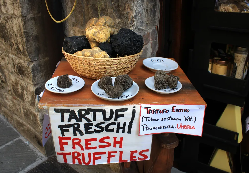 Truffles on display in Umbria, Italy