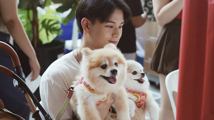 ชวนน้องหมามาแฮงเอาต์ในวันหยุดนี้ ที่ Slowcombo สามย่าน