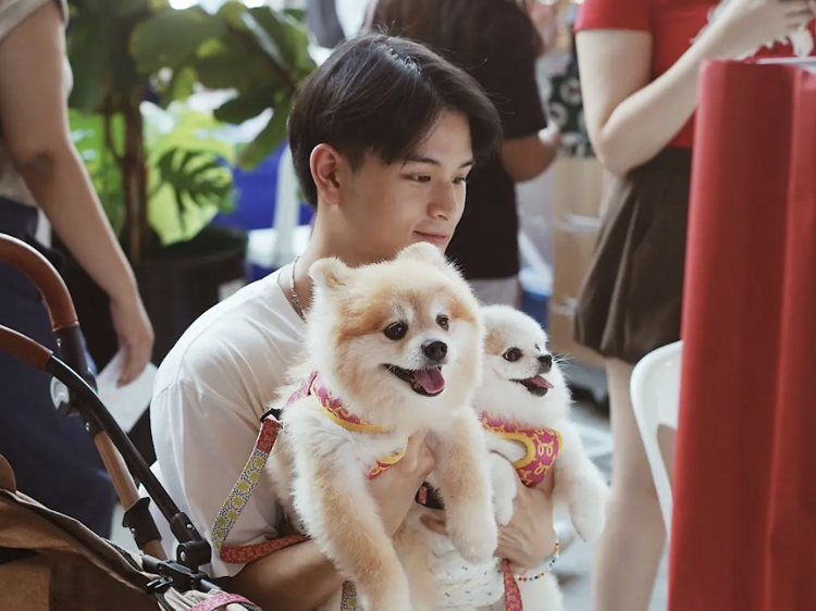 ชวนน้องหมามาแฮงเอาต์ในวันหยุดนี้ ที่ Slowcombo สามย่าน