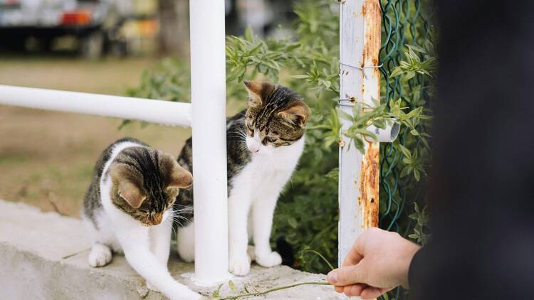 Unsplash, Melina Kiefer