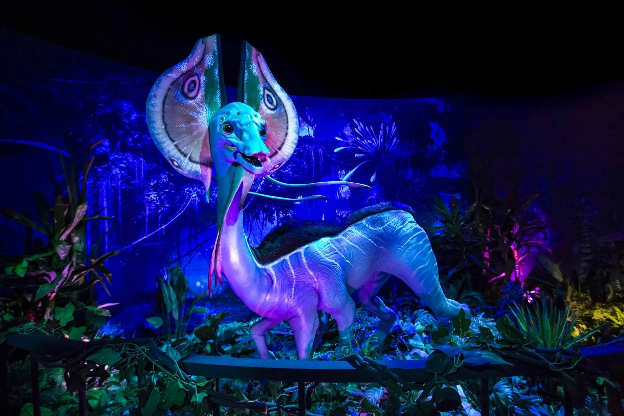 Avatar: The Experience