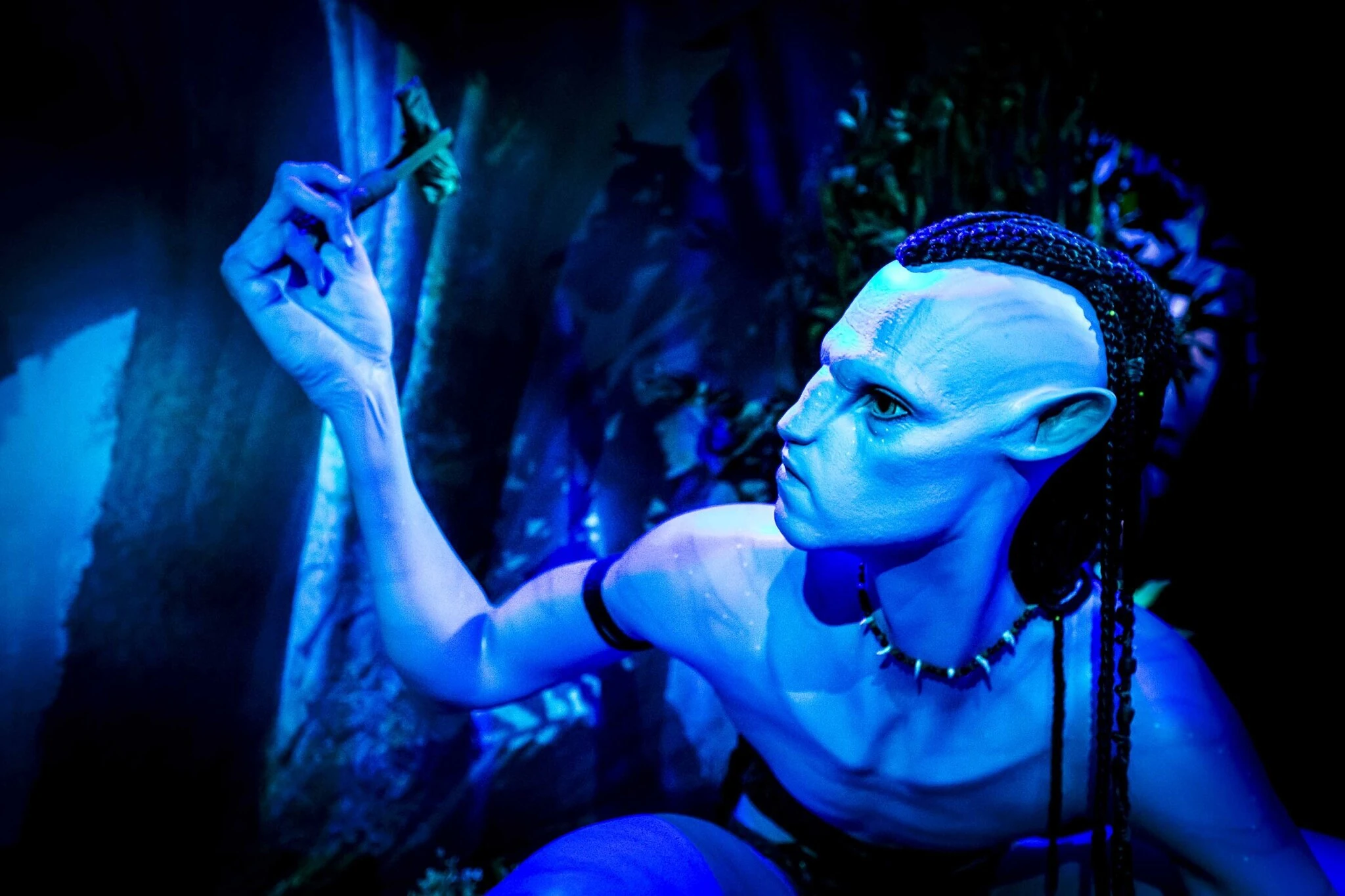 Avatar: The Experience