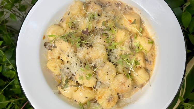 Gnocchi Day at Funga Gnocchi Day at Funga