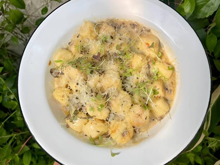 Gnocchi Day at Funga Gnocchi Day at Funga