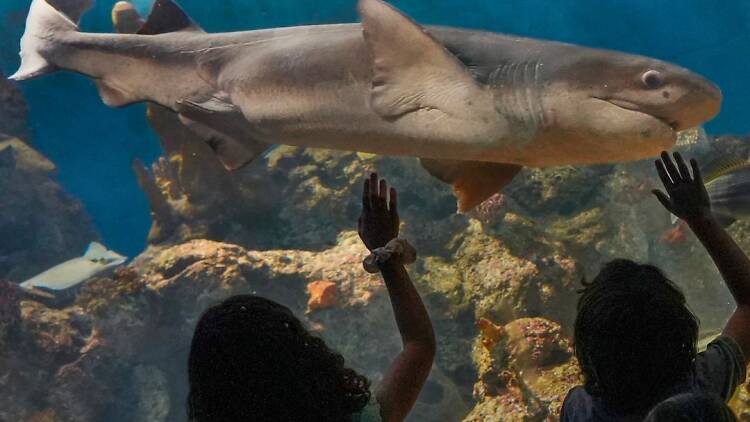 Los mejores parques para chicos en Argentina