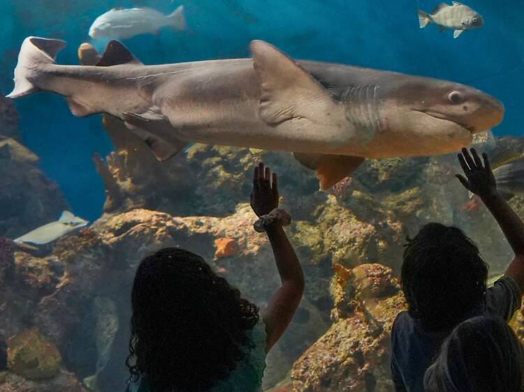 Fundación Temaikèn temaikèn