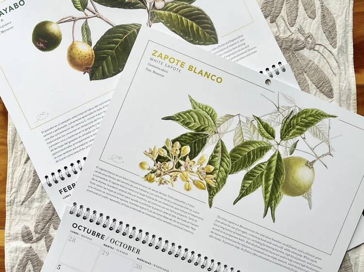 Calendario de herbolaria mexicana