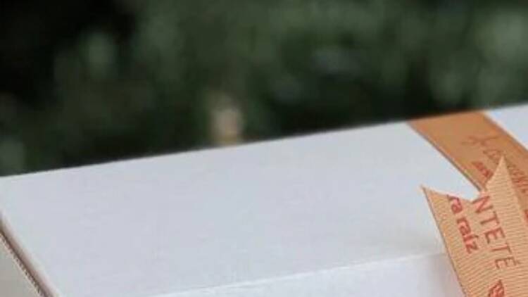 Kit de té y tisanas orgánicas