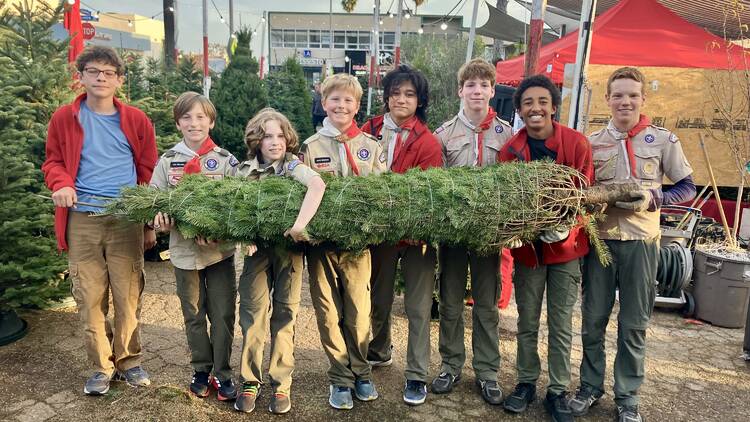 Boy Scouts Troop 2 Tree Lot