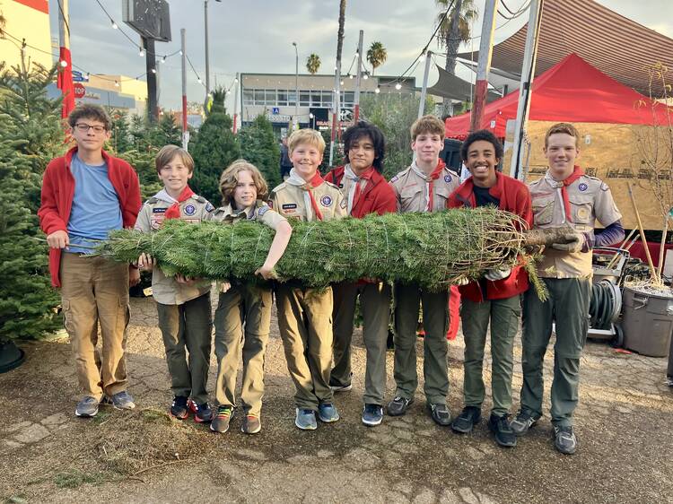 Boy Scouts Troop 2 Tree Lot