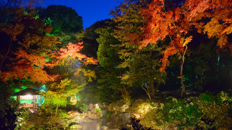 Rikugien autumn Rikugien autumn