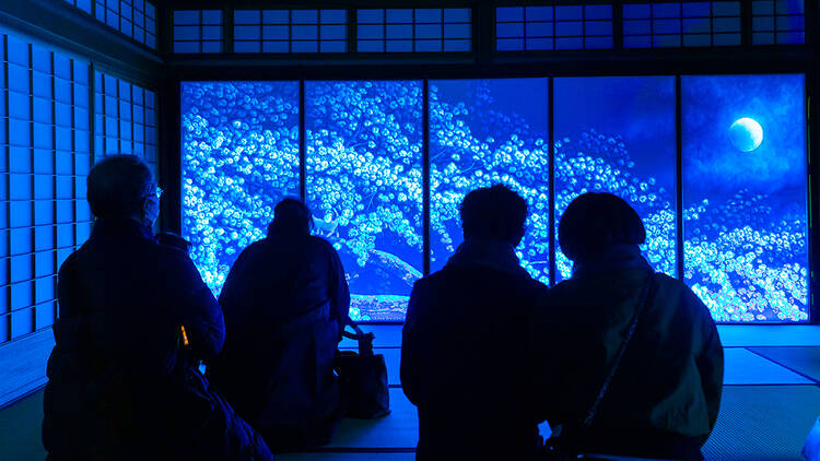 Beyond Light and Time: Contemporary Art Exhibition & Temple Garden Illumination at Taizoin, Myoshinji Beyond Light and Time: Contemporary Art Exhibition & Temple Garden Illumination at Taizoin, Myoshinji