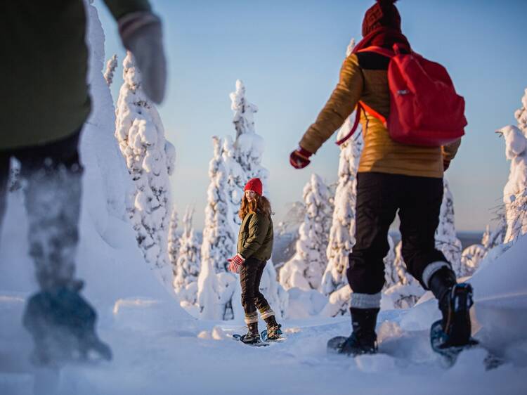 The best events in Rovaniemi in December 2025