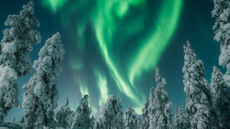 Find perfect darkness and wait for the northern lights