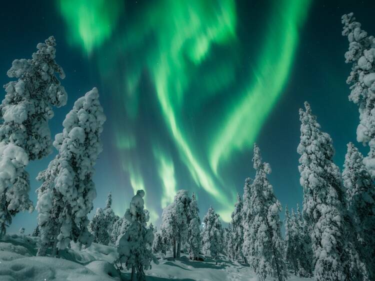 Find perfect darkness and wait for the northern lights
