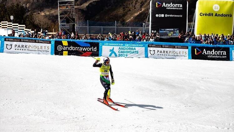 Competiciones internacionales