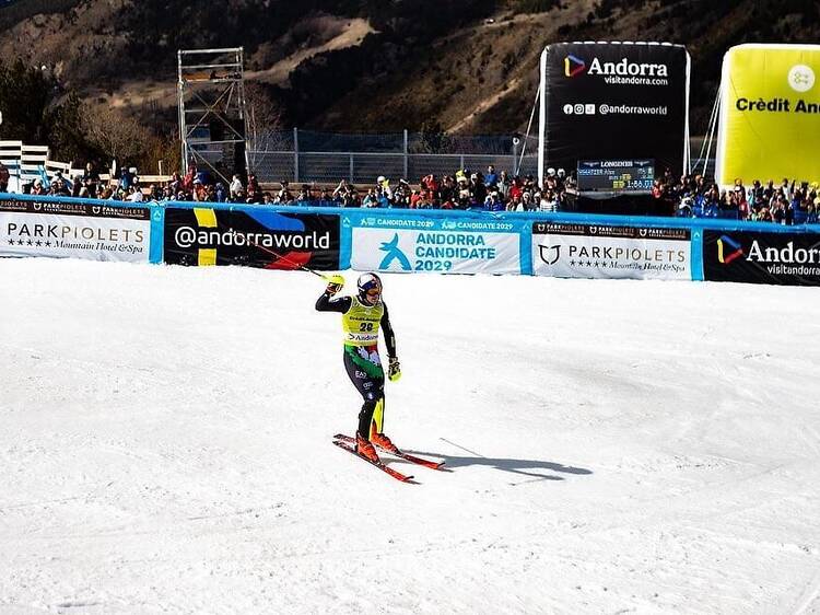 Competiciones internacionales