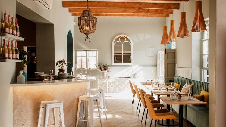 SeaBreeze Fish & Shell SeaBreeze Fish & Shell