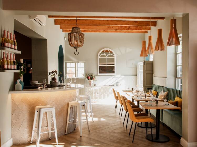 SeaBreeze Fish & Shell SeaBreeze Fish & Shell