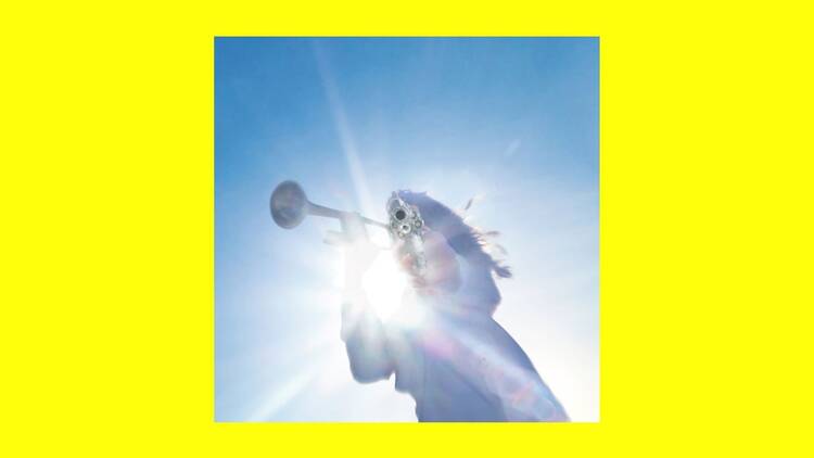 ‘Getting Killed’ – Geese