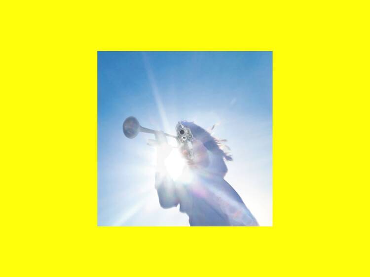 ‘Getting Killed’ – Geese