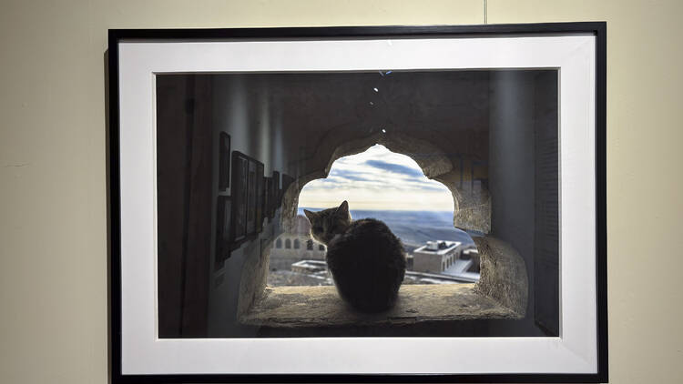 De Estambul a Mardin Museo de las culturas del mundo